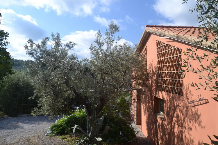 Location Maison à Castagneto Carducci 4 personnes, Sassetta