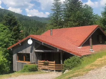 Location Gîte à La Bresse 11 personnes, Gérardmer