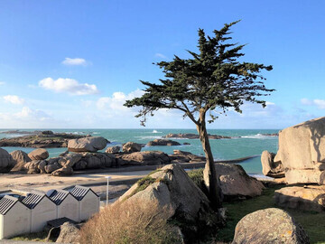 Location Maison à Trégastel 4 personnes, Bretagne