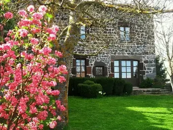 Location Gîte à Bains 7 personnes, Auvergne