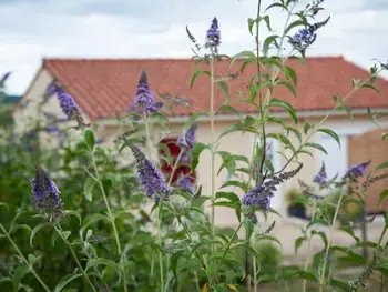 Location Gîte à Fossemagne 4 personnes, Aquitaine