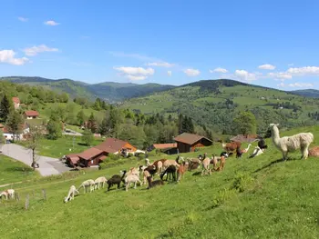 Location Gîte à La Bresse 6 personnes, Le Thillot