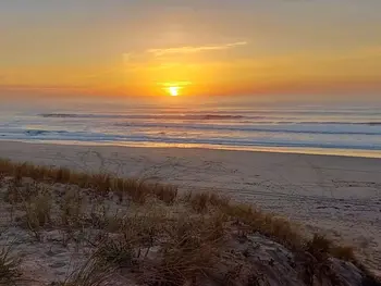 Location Villa à Lège Cap Ferret 10 personnes, Aquitaine