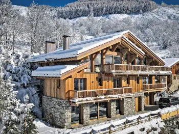 Location Chalet à Saint Martin de Belleville 14 personnes, Valmorel