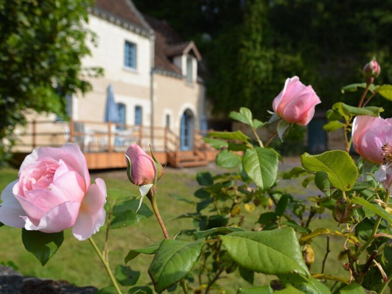 Location Gîte à Chambourg sur Indre 11 personnes, Indre et Loire