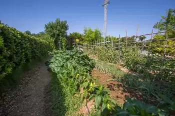 Location Villa à Manacor, Illes Balears 6 personnes, Espagne